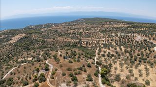 Αγροτεμάχια 12.025 τ.μ. για πώληση, Αργολίδα, Κρανίδι-thumb-12