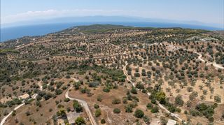 Αγροτεμάχια 12.025 τ.μ. για πώληση, Αργολίδα, Κρανίδι-thumb-11