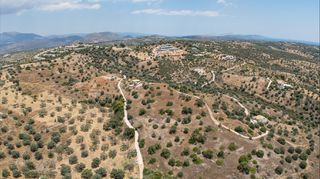 Αγροτεμάχια 12.025 τ.μ. για πώληση, Αργολίδα, Κρανίδι-thumb-18