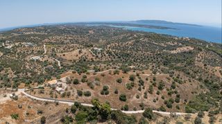 Αγροτεμάχια 12.025 τ.μ. για πώληση, Αργολίδα, Κρανίδι-thumb-15