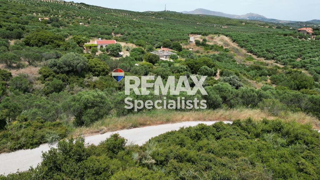 Αγροτεμάχια 14.074 τ.μ. προς πώληση, Καρθιανά