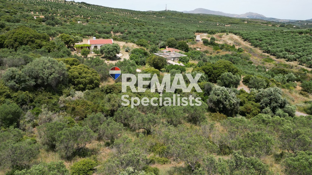 Αγροτεμάχια 14.074 τ.μ. προς πώληση, Καρθιανά