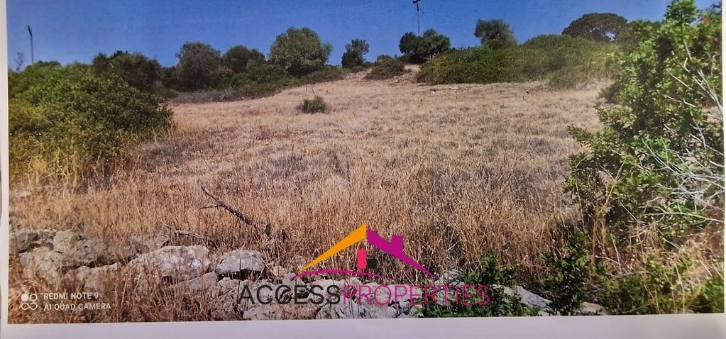 Οικόπεδο 855,83 τ.μ. πρός πώληση, Φωκίδα, Τολοφώνα