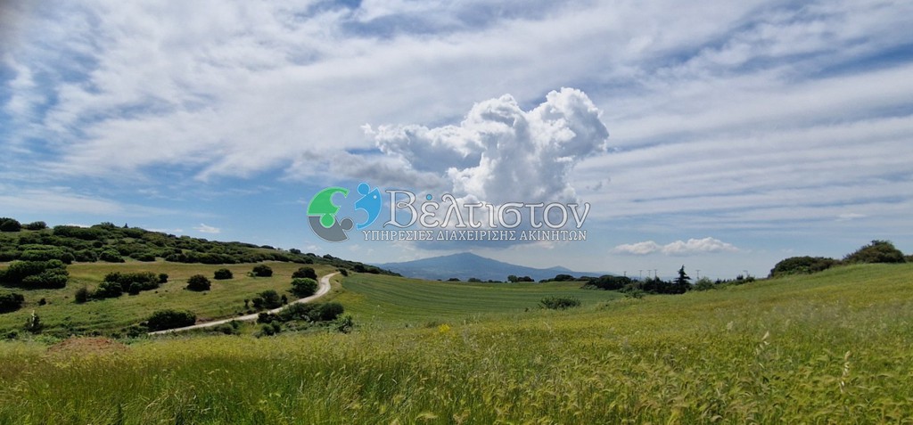 Αγροτεμάχια 40.000 τ.μ. πρός πώληση, Θεσσαλονίκη - Περιφ/Κοί Δήμοι, Μυγδονία