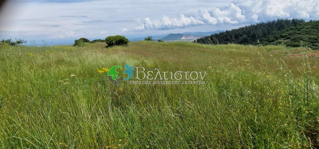 Αγροτεμάχια 40.000 τ.μ. πρός πώληση, Θεσσαλονίκη - Περιφ/Κοί Δήμοι, Μυγδονία