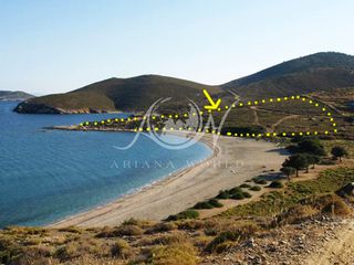 Αγροτεμάχια 28.000 τ.μ. για πώληση