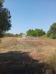 Οικόπεδο 4.685 τ.μ. για πώληση
