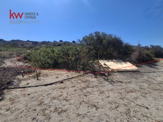 Αγροτεμάχια 584 τ.μ. για πώληση