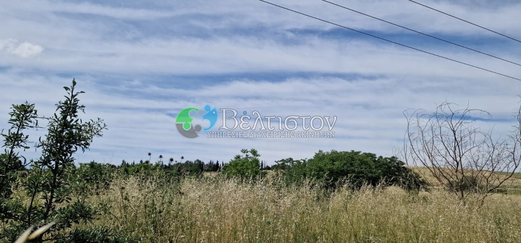 Αγροτεμάχια 9.000 τ.μ. πρός πώληση, Θεσσαλονίκη - Περιφ/Κοί Δήμοι, Ωραιόκαστρο