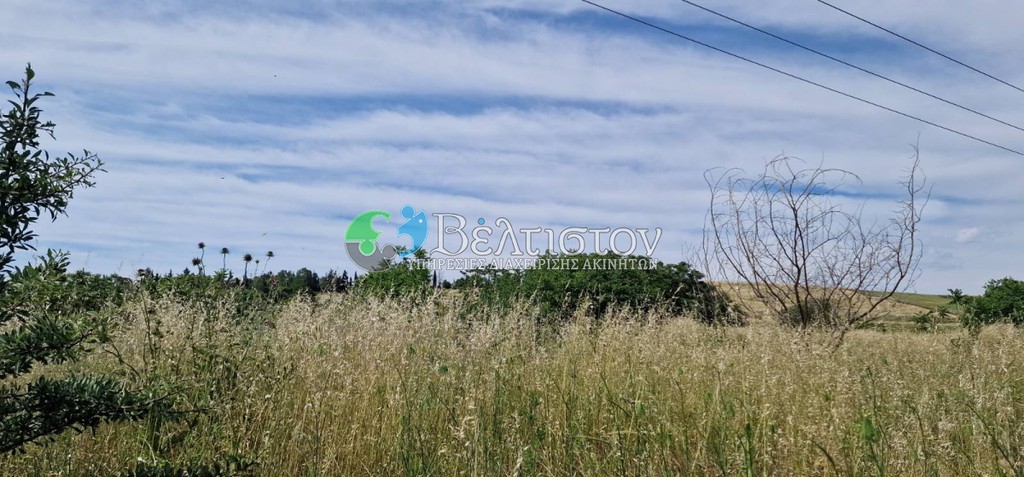 Αγροτεμάχια 9.000 τ.μ. πρός πώληση, Θεσσαλονίκη - Περιφ/Κοί Δήμοι, Ωραιόκαστρο