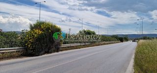 Αγροτεμάχια 9.000 τ.μ. για πώληση