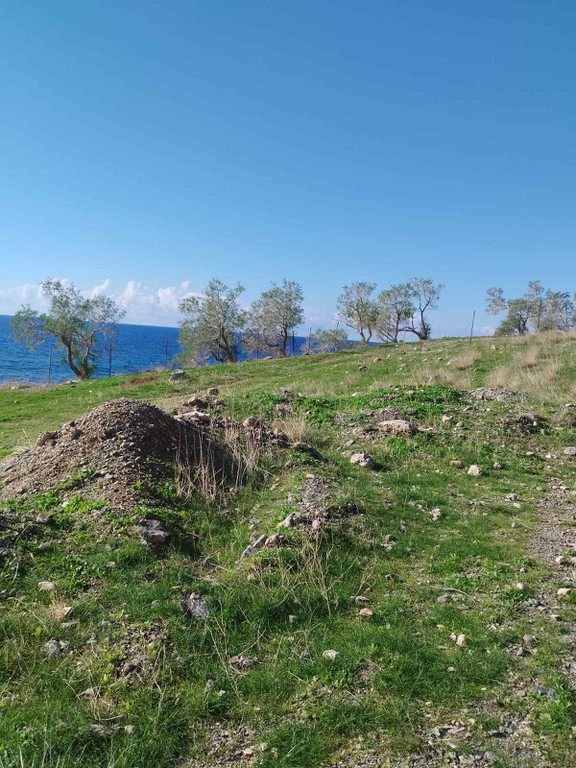 Οικόπεδο 12.000 τ.μ. πρός πώληση, Ν. Ηρακλείου, Γορτύνα