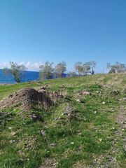 Οικόπεδο 12.000 τ.μ. για πώληση, Ν. Ηρακλείου, Γορτύνα-thumb-3