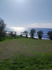 Οικόπεδο 12.000 τ.μ. για πώληση, Ν. Ηρακλείου, Γορτύνα-thumb-10