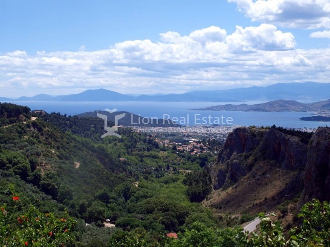 Κτίριο 150 τ.μ. πρός πώληση, Μαγνησία, Μακρινίτσα