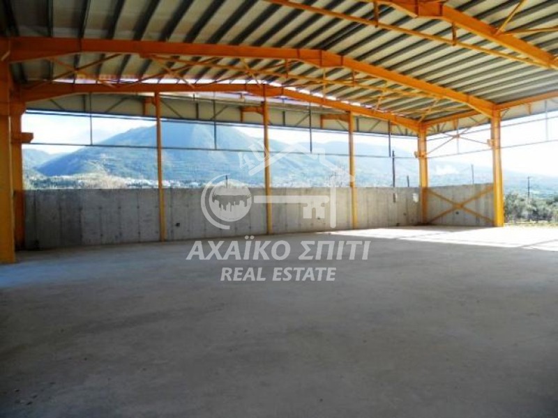 Βιομηχανικός χώρος 1.500 τ.μ. προς ενοικίαση, Γλαύκος