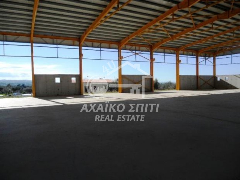 Βιομηχανικός χώρος 1.500 τ.μ. προς ενοικίαση, Γλαύκος