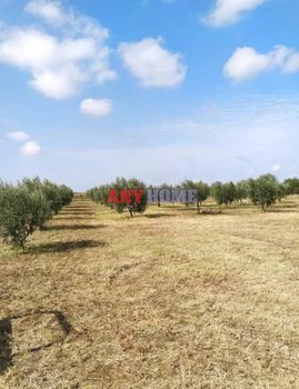 Αγροτεμάχια 5.815 τ.μ. προς πώληση