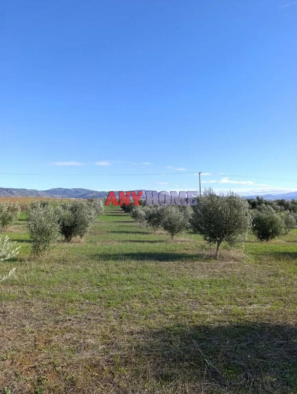 Αγροτεμάχια 11.200 τ.μ. προς πώληση, Νέα Μεσημβρία