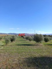 Parcel 11.200 sqm for sale