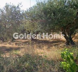 Οικόπεδο 800 τ.μ. για πώληση