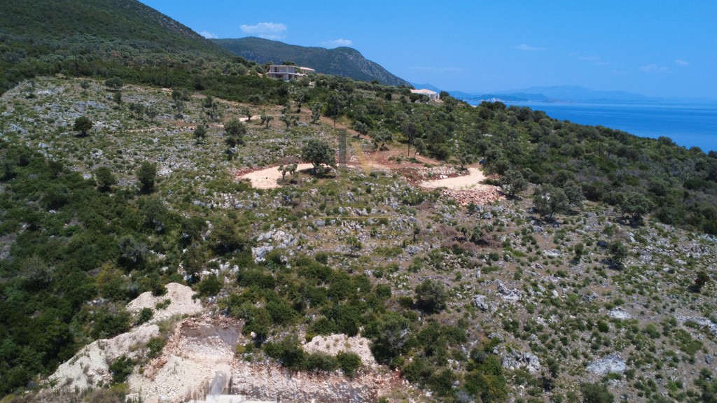 Αγροτεμάχια 4.500 τ.μ. προς πώληση, Απολλώνιο