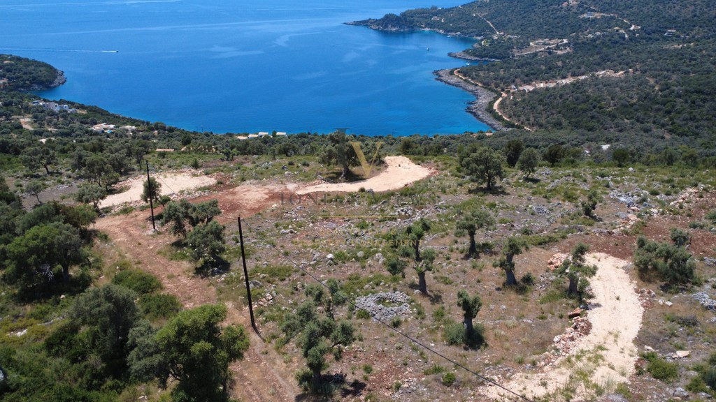 Αγροτεμάχια 4.500 τ.μ. προς πώληση, Απολλώνιο