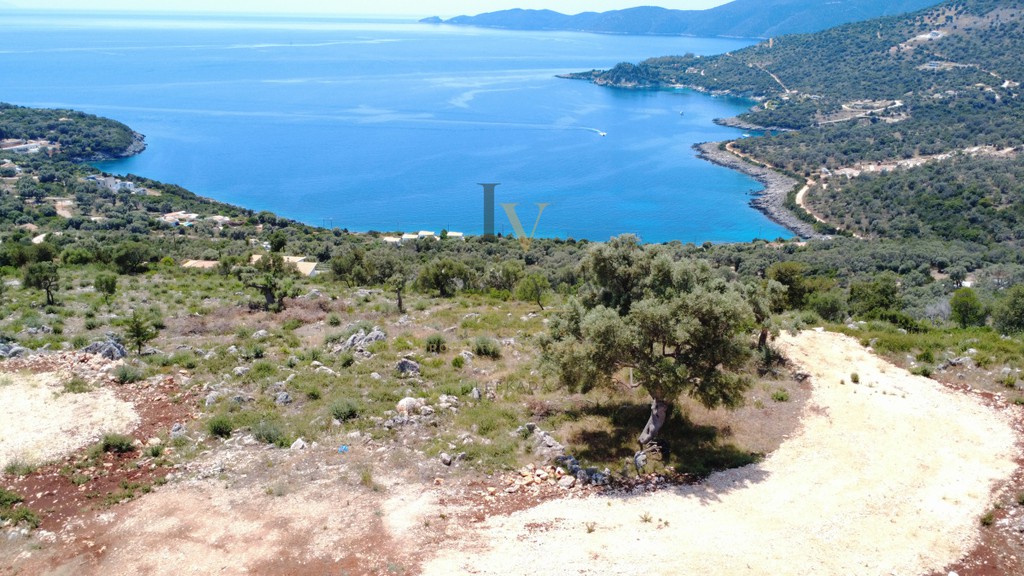 Αγροτεμάχια 4.500 τ.μ. προς πώληση, Απολλώνιο
