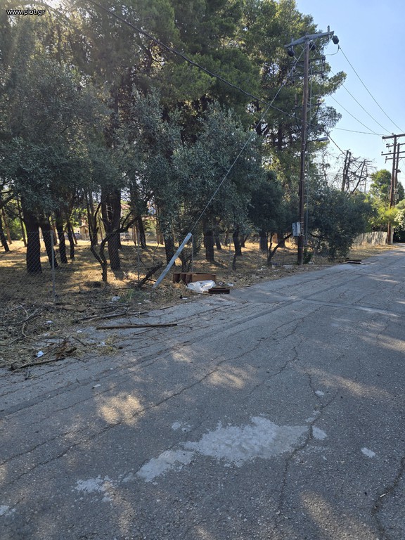 Οικόπεδο 4.500 τ.μ. πρός πώληση, Αθήνα - Βόρεια Προάστια, Άνοιξη