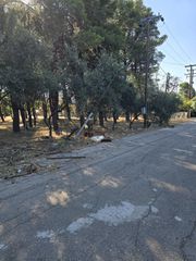 Οικόπεδο 4.500 τ.μ. πρός πώληση