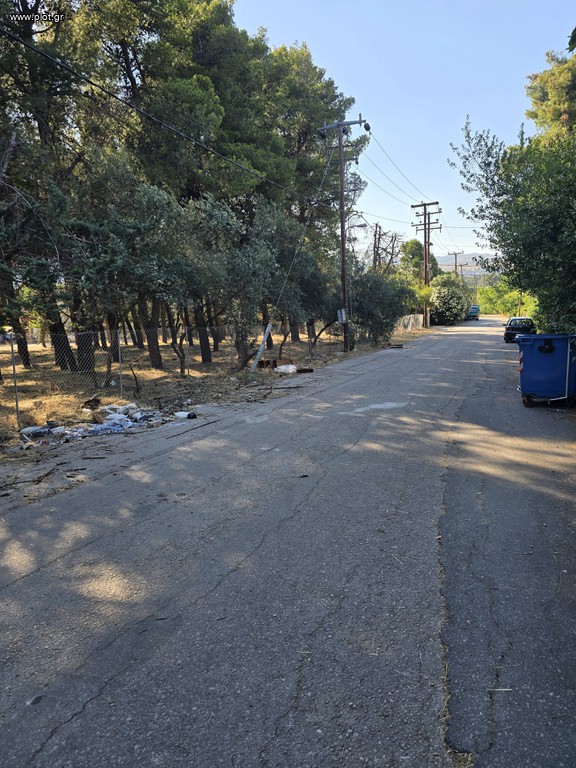 Οικόπεδο 4.500 τ.μ. πρός πώληση, Αθήνα - Βόρεια Προάστια, Άνοιξη