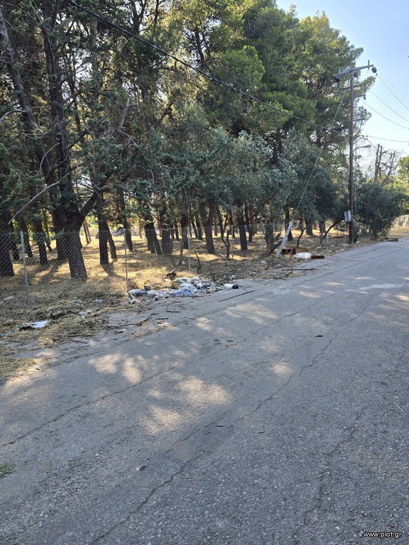 Οικόπεδο 4.500 τ.μ. πρός πώληση, Αθήνα - Βόρεια Προάστια, Άνοιξη