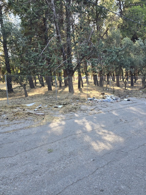 Οικόπεδο 4.500 τ.μ. πρός πώληση, Αθήνα - Βόρεια Προάστια, Άνοιξη