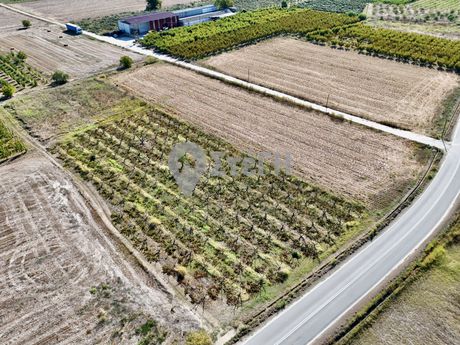 Αγροτεμάχια 11.000 τ.μ. πρός πώληση