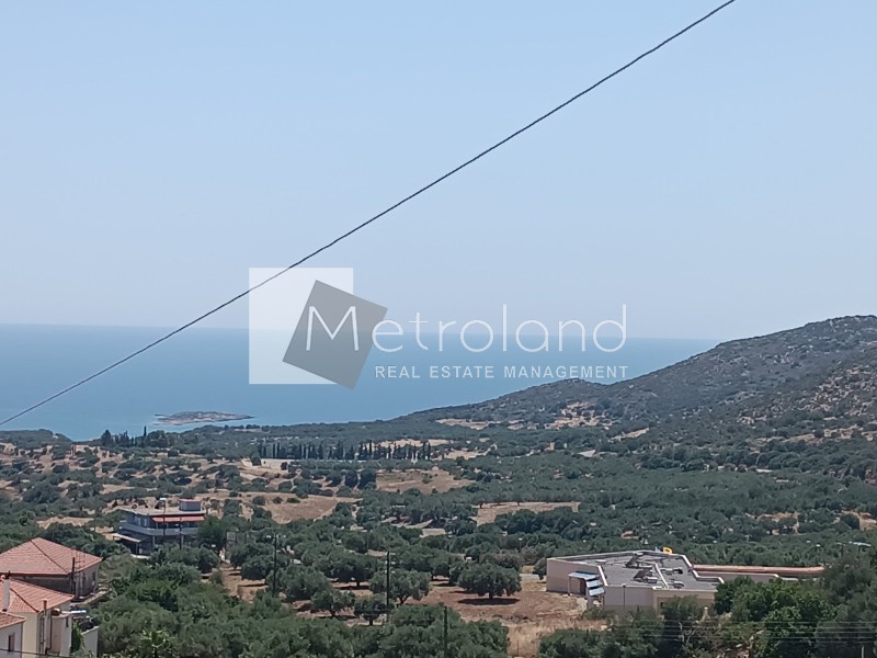 Οικόπεδο 106 τ.μ. προς πώληση, Ελίκα