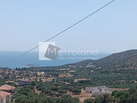 Οικόπεδο 106 τ.μ. προς πώληση