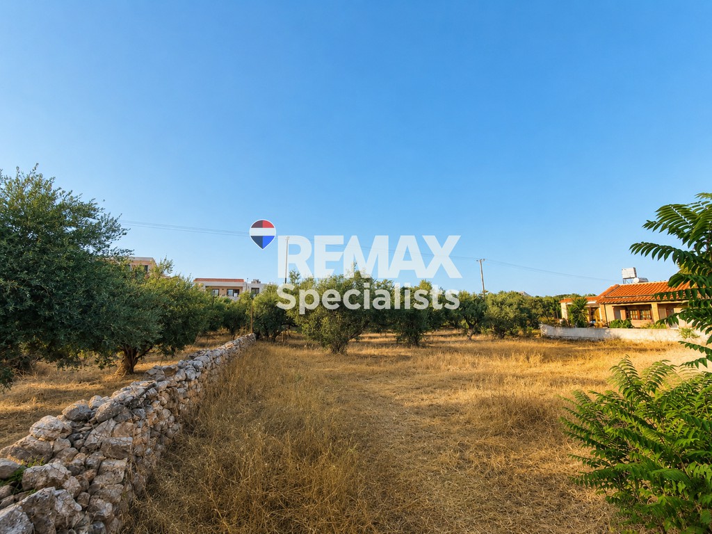 Οικόπεδο 2.570 τ.μ. προς πώληση, Αρώνι