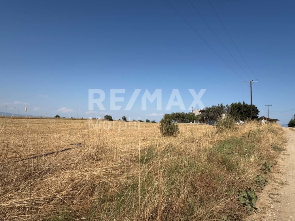 Οικόπεδο 576 τ.μ. πρός πώληση, Ν. Ροδόπης, Αίγειρος