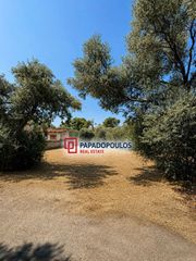 Οικόπεδο 214 τ.μ. για πώληση