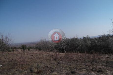 Αγροτεμάχια 4.000 τ.μ. πρός πώληση