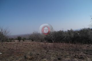 Αγροτεμάχια 4.000 τ.μ. για πώληση
