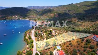 Αγροτεμάχια 6.250 τ.μ. για πώληση
