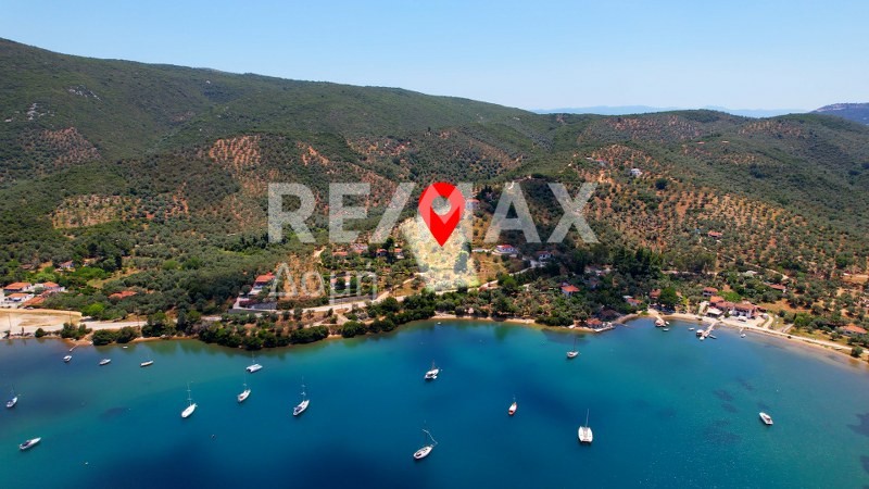 Αγροτεμάχια 6.250 τ.μ. πρός πώληση, Μαγνησία, Σηπιάδα