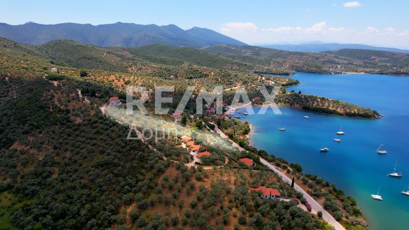 Αγροτεμάχια 6.250 τ.μ. πρός πώληση, Μαγνησία, Σηπιάδα