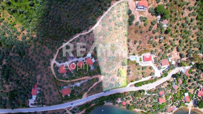 Αγροτεμάχια 6.250 τ.μ. πρός πώληση, Μαγνησία, Σηπιάδα