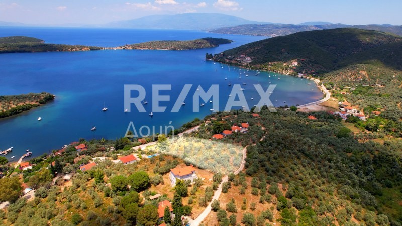 Αγροτεμάχια 6.250 τ.μ. πρός πώληση, Μαγνησία, Σηπιάδα