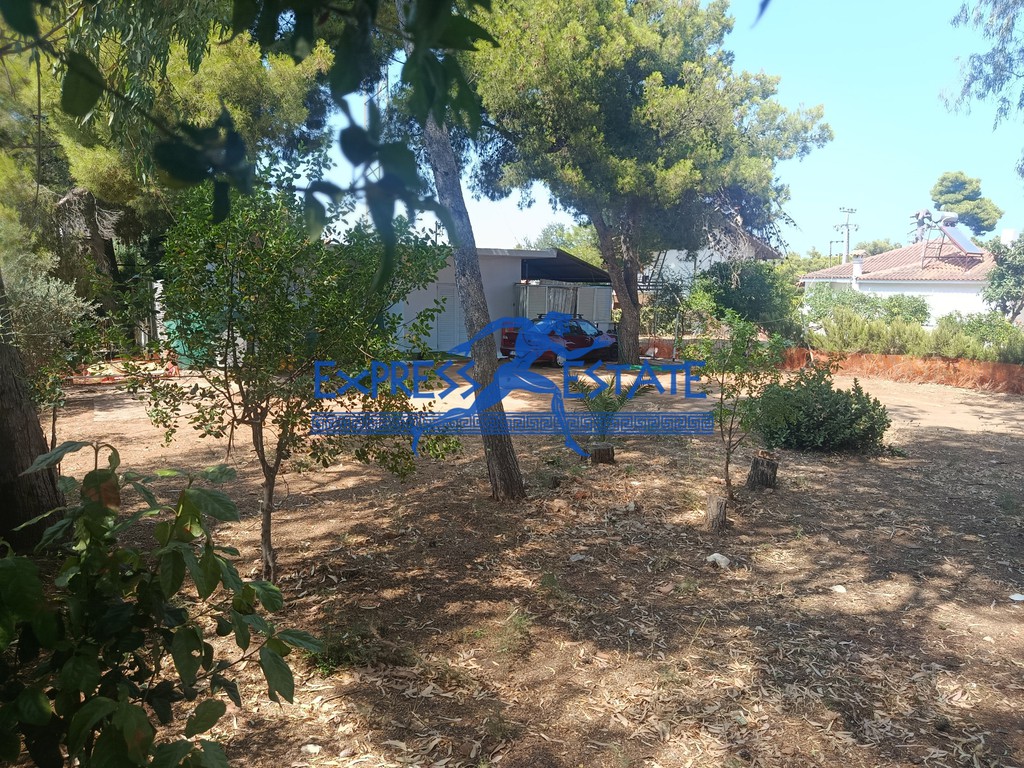 Μονοκατοικία 45 τ.μ. πρός πώληση, Αθήνα - Ανατολικά Προάστια, Νέα Μάκρη