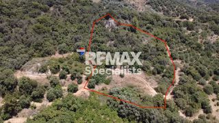 Οικόπεδο 4.275 τ.μ. για πώληση