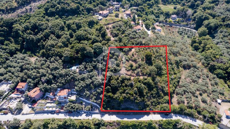 Οικόπεδο 4.000 τ.μ. για πώληση, Ν. Λάρισας, Μελίβοια