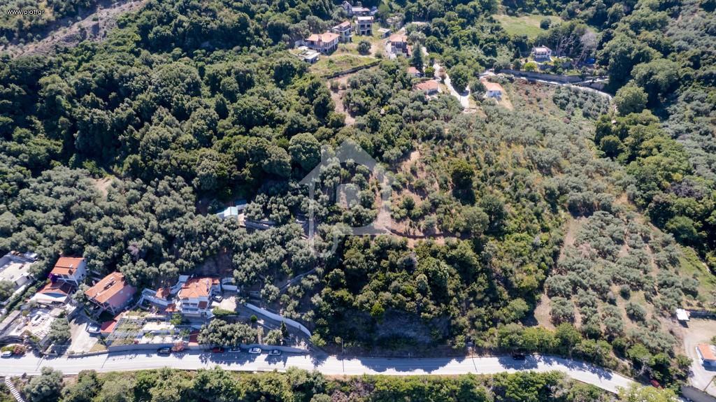 Οικόπεδο 4.000 τ.μ. προς πώληση, Ν. Λάρισας, Μελίβοια
